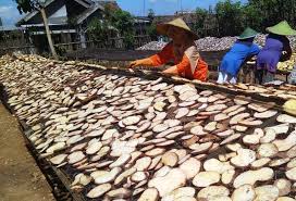 .jambi jual beli bibit porang di jambi jual beli bibit porang jambi jual produk bibit umbi porang iles 25 butir katak.manfaat tanaman porang banyak sekali terutama untuk industri dan kesehatan. Hasil Panen Porang Di Madiun Mencapai Ratusan Juta Per Ha