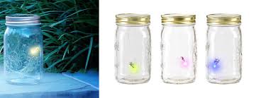 My Pet Firefly