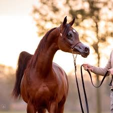 Aingeru Vilabrille - YouTube