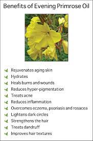 Historically, native americans used it to treat bruises, hemorrhoids and minor wounds. Pin On Educational Thursdays