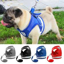 In Dog Harness Dogharness Org