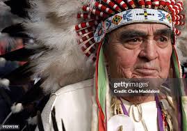 149 Gail Clark Stock Photos, High-Res Pictures, and Images