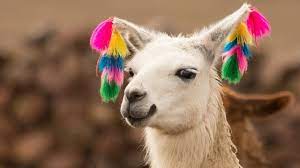 Animals Of South America Voices And Sounds Animals South America Animals South America