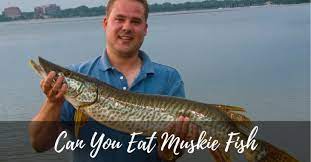 — alan clemons, outdoor life, 17 mar. Can You Eat Muskie Fish All You Need To Know