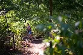 Let your secret media agent take care of it. In Central Park An Uneasy Coexistence Grows Uneasier The New York Times