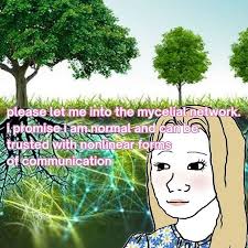 Harry Vigo John Jensen (@harry_vjj) • Fotos y videos de Instagram