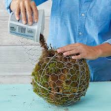 How to sculpt with chicken wire | ehow.com. 46 Chicken Wire Planter Ideas Chicken Wire Chicken Wire Crafts Garden Art