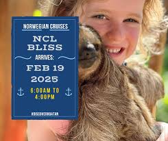 From the Bliss Transatlantic cruise 2/02-2/15/25.