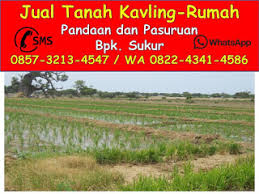 0822 3379 8066, jual tanah kavling murah bangil, jual tanah kavling murah pasuruan. 0857 3213 4547 Jual Rumah Dan Tanah Pandaan Pasuruan Jawa Timur Rumah Dijual Di Pandaanpasuruan Jual Tanah Kavling Tanah Kavling Dijual Di Gempol Beji Bangil Pandaan Prigen Plintahan Tretes Trawas Mojokerto Jual