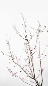 Pastel pink wallpaper iphone pink wallpaper backgrounds simple iphone wallpaper cream wallpaper simple wallpapers minimalist wallpaper iphone wallpaper tumblr watercolor clouds paper background pattern paper cool art fun art overlays drawings prints instagram. The Perfect Set Of Wallpapers For Your New Iphone Xr Preppy Wallpapers Minimal Pictures Cherry Blossom Wallpaper Minimal Wallpaper