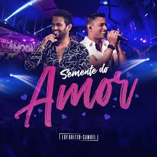 Baixar musica do harry dibola tu me : Pot Pourri Bebo De Novo Estrela Caida Momentos Felizes Edy Britto E Samuel Palco Mp3