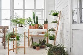 Denah rumah dengan taman di dalam from 45 desain dan model taman minimalis dalam rumah modern. 6 Desain Taman Dalam Rumah Untuk Hunian Asri Dan Udara Bersih