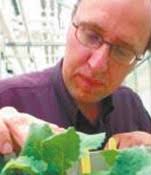 Grow more canola? Not so fast