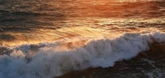 Rest and relax to the sounds of soothing ocean waves. Ocean Waves Crashing Sound Free Sound Effects Ambient Sounds