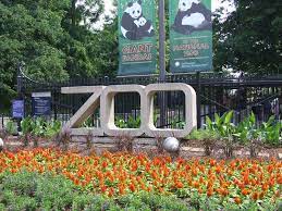 Washington D C Essential Info National Zoo Washington Dc Washington Dc Zoo Washington Zoo