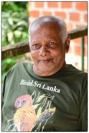 THE FIGHT AHEAD TO SAVE MANNAR LANKAN WHALE MYSTERIES THE GLOSSY IBIS  RETURNS