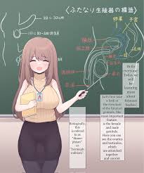 Futanari Education