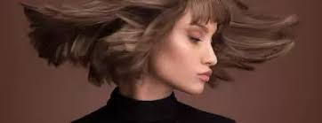 Meilleurs Coiffeurs 2025 à Pezou (Loir-et-Cher)