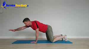 Check spelling or type a new query. Ac Joint Separation Rehab Exercises Youtube