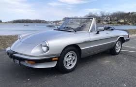Image result for Grigio Chiaro 1984 Alfa-Romeo
