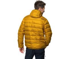 We did not find results for: Jack Wolfskin Helium Men Golden Yellow 1200573 3015 Ab 101 99 Preisvergleich Bei Idealo De