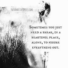 Quotes Sometimes I Just Break Quotesgram