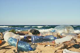 Dieser pinnwand folgen 277 nutzer auf pinterest. Schwimmt Im Meer Zehnmal So Viel Plastik Wie Angenommen Geo