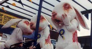 Europe Ban On Animal Testing For Cosmetics Go Asia