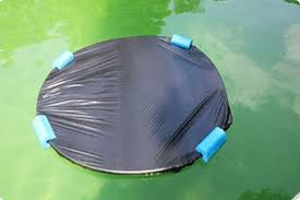 Also, solar pool heating and propane are not mutually exclusive. Best Worst Of Pinterest Pool Ideas Intheswim Pool Blog