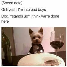 Alienwithnojob On Instagram Good Bois Only Funny Friend Memes Funny Dog Memes Funny Animal Memes