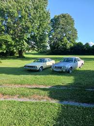 Image result for Black 1983 Concord