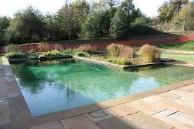 Gartenart Formal Swimming Pond Gallery Swimming Pool Pond Swimming Pond Pool Water Features