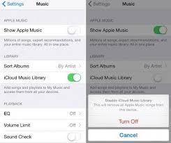Turn Off Icloud Music Library On Ipod Touch Ipod Music Library Ipod Touch