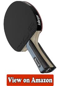 10 Best Ping Pong Paddle Of 2020 Ping Pong Paddles Ping Pong Ping Pong Table Tennis