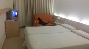 Sector dunas, 2ª fase, 21760 matalascañas, españa. Habitacion Picture Of Gran Hotel Del Coto Matalascanas Tripadvisor