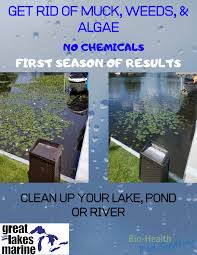 Pond algae eaters, along with other natural methods, are a great way to keep your algae levels in check and prevent those dreaded blooms. Muck Eater Bio Health Pod Posts Facebook