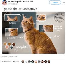 15 Jokes About Goose The Cat The Only Real Hero Of Captain Marvel Captain Marvel Avengers Funny Marvel