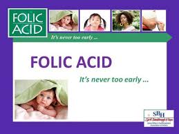 Birth Defects Taryn Ballmann Ppt Download