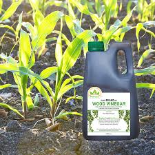 Fertilize your potted plants and purify the water by adding 2 tablespoons of apple cider vinegar to 1 gallon of water before you water your potted plants. Bionature Wood Vinegar Plant Organic Aid 1 Liter Shopee Philippines