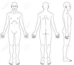 Jun 11, 2021 · body cam footage of west side traffic stop turned deadly shootout released by san antonio police jacob beltran , staff writer june 10, 2021 updated: Human Body Sketch Front Back Side Royalty Free Cliparts Vectors And Stock Illustration Image 82064350