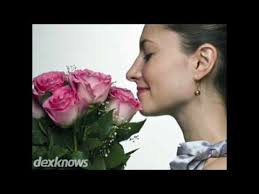 Maybe you would like to learn more about one of these? Beadle Floral Nursery Main Store Aberdeen Sd 57401 5829 Youtube
