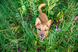 Maybe you would like to learn more about one of these? Jackson Meredith Berg Photography