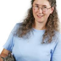 PDF) A collection of tools for making automata theory and formal languages  come alive