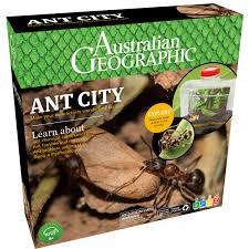 Test your smarts with these fun quizzes about frogs, space, holidays, and more! Australian Geographic Ant City U Games Australia Educational Toys Games And Puzzles