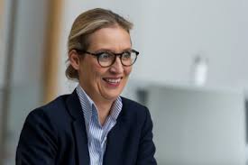 Beatrix von storch (born 1971 as duchess of oldenburg), german politician (alternative for germany) Wo Alice Weidel Recht Hat Salonkolumnisten