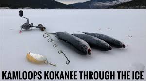 Bear lake trail # 721; Kamloops Kokanee Salmon Through The Ice Stump Lake I Monte Lake 2021 Youtube