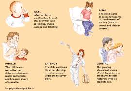 Psychosexual Stages Of Development Theories Of Human Development Shop the top 25 most popular 1 at the best prices! psychosexual stages of development