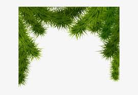 We did not find results for: Pine Branches Png Clipart Image Christmas Tree Border Png 600x486 Png Download Pngkit