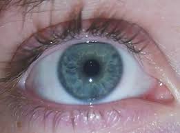 Ice cold eyes so beautiful musik: Welche Augenfarbe Habe Ich Kann Es Nicht Erkennen Augen
