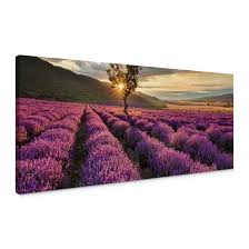 Tableaux de provence is a programmatic suite composed for. Tableau Sur Toile Floraison De Lavande En Provence Panorama 01 Wall Art Fr
